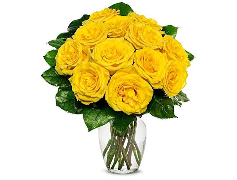 12 rosas amarillas en base