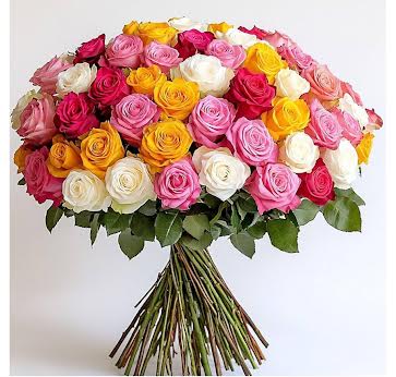 Bouquet 50 Rosas Mixtas