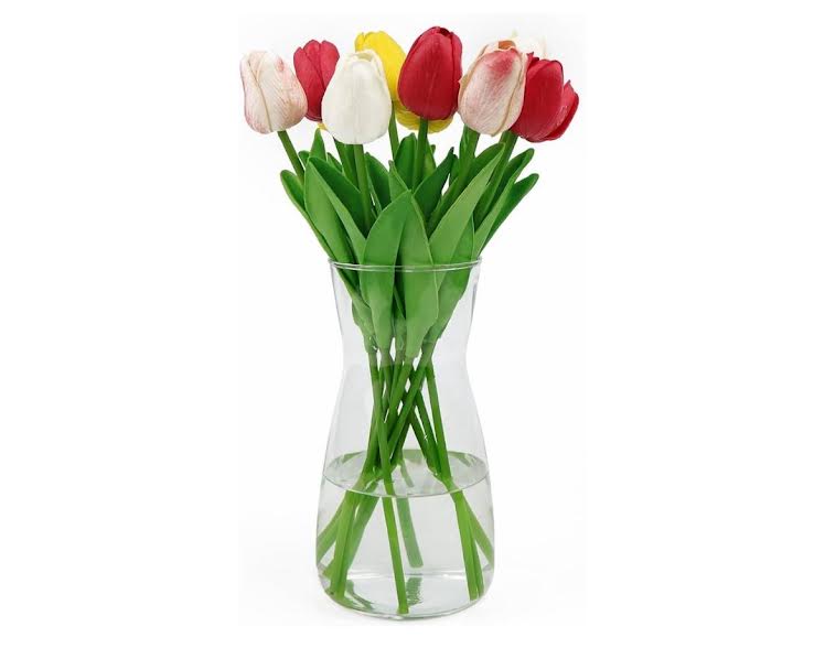 base de tulipanes