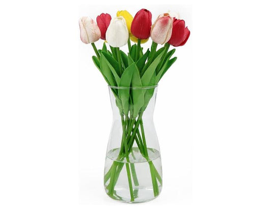 base de tulipanes